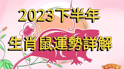 鼠生肖|鼠生肖：性格、愛情、健康、事業和星座